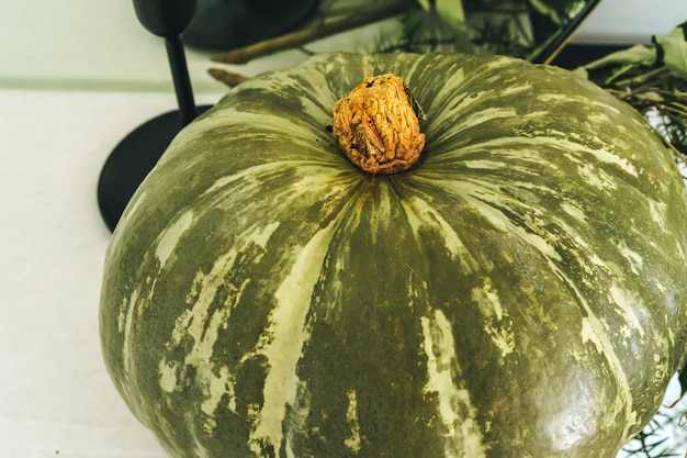 Hermosa decoración de mesa otoñal con calabaza verde