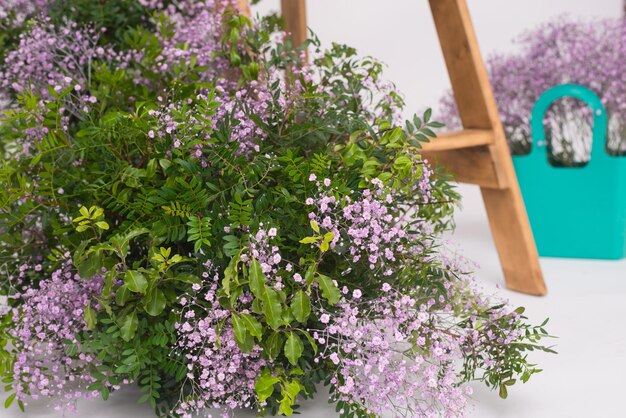 Hermosa escalera decorada con arbustos de flores sobre fondo blanco.