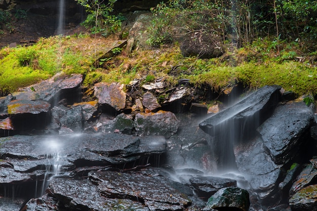 Hermosa escena, cascada en el bosque