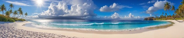 Foto una hermosa escena de playa con una gran masa de agua arena blanca y palmeras la playa es bastante larga que se extiende de un extremo de la imagen al otro