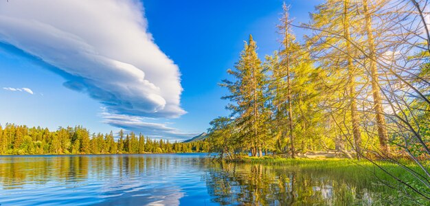 hermosa escena de principios de otoño del lago de las Altas Tatra colorida vista de la mañana montañas luz del sol pinos