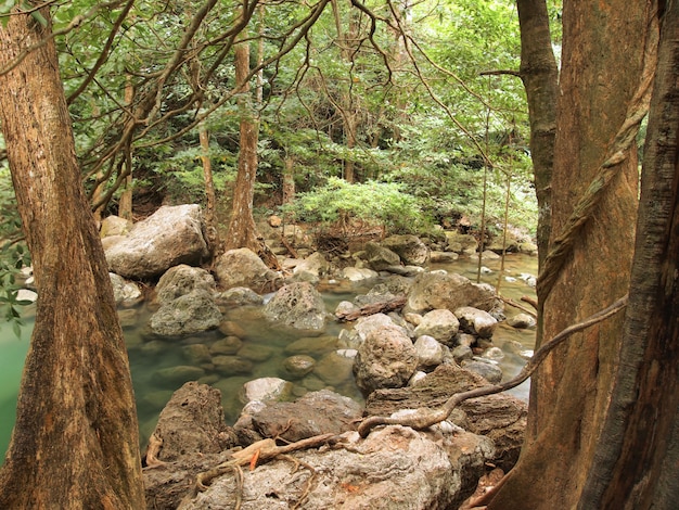 Hermosa y espectacular cascada verde, cascada Erawan en Kanchanaburi, Tailandia