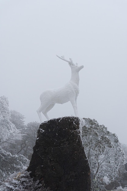 Hermosa estatua de corzo cubierta de nieve