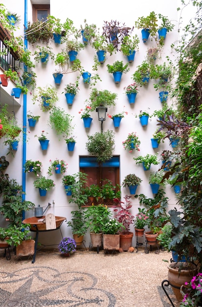 Hermosa fachada de patio andaluz decorada con plantas que cuelgan de la pared en macetas azules. Córdoba, Andalucía, España.