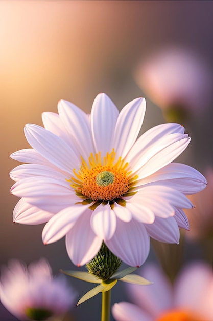 Una hermosa flor blanca