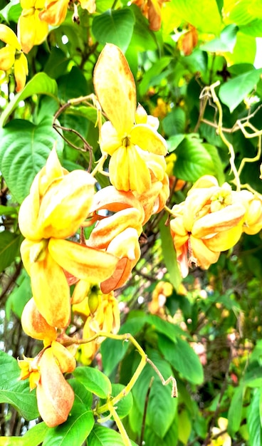 La hermosa flor de color amarillo generada por Ai