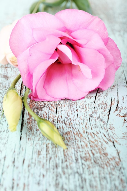 Foto hermosa flor de eustoma sobre fondo de madera