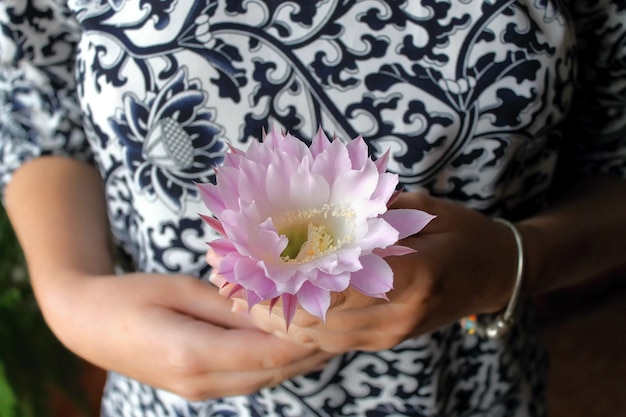 Hermosa flor exótica en las manos.