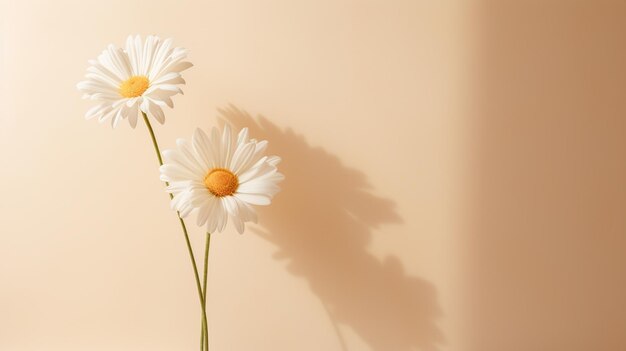 Hermosa flor minimalista en una maqueta de fondo de pared ligera