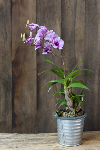 Hermosa flor de orquídea en galvanizar puede sobre fondo de madera oscura.