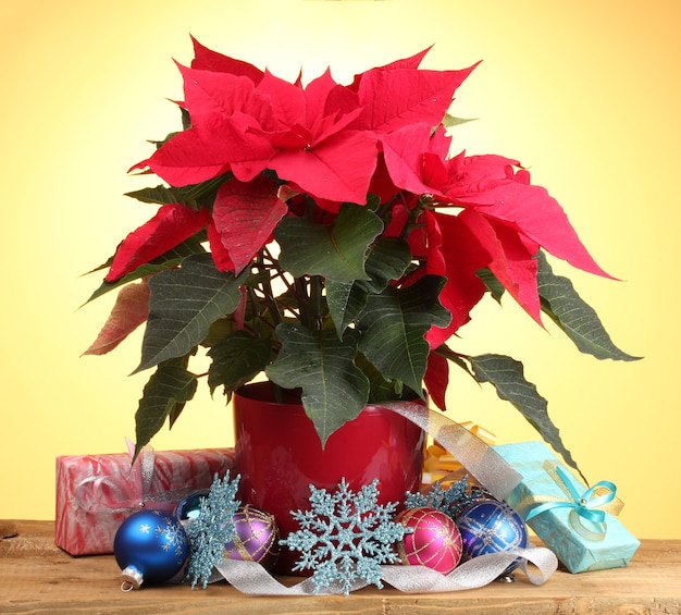 Hermosa flor de pascua con bolas de navidad y regalos en mesa de madera