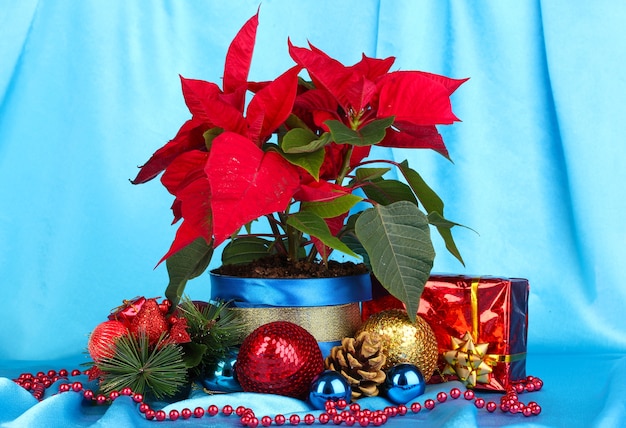 Hermosa flor de pascua con bolas de navidad y regalos sobre fondo de tela azul