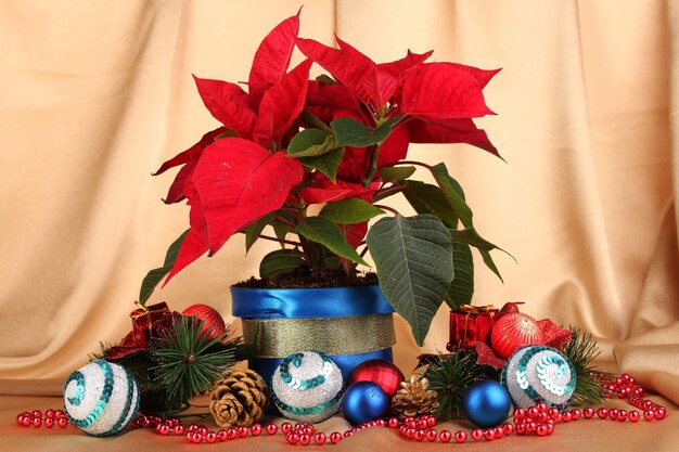 Foto hermosa flor de pascua con bolas de navidad