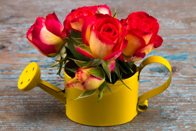 Hermosa flor en regadera sobre mesa de madera grunge. Con espacio de copia.