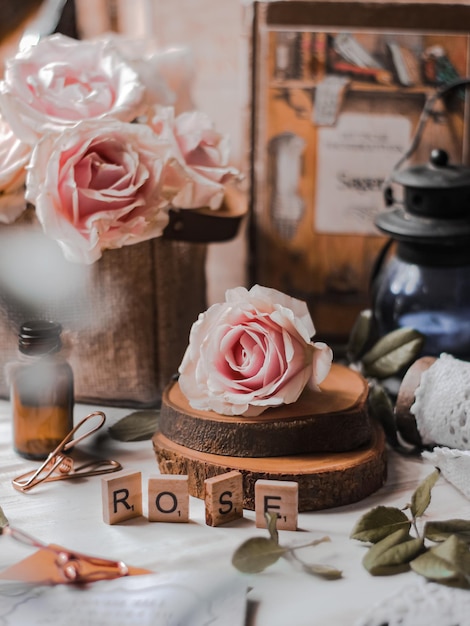 Hermosa flor rosa en concepto de bodegón