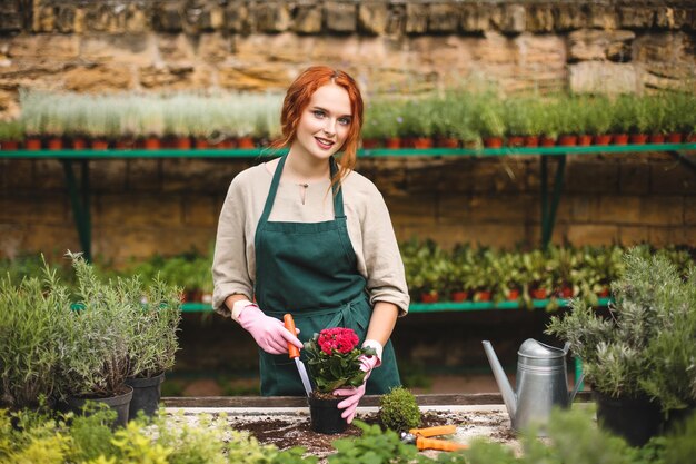 Hermosa florista en delantal y guantes rosas usando una pequeña pala de jardín mientras planta una hermosa flor en una maceta y mira soñadoramente en cámara en invernadero