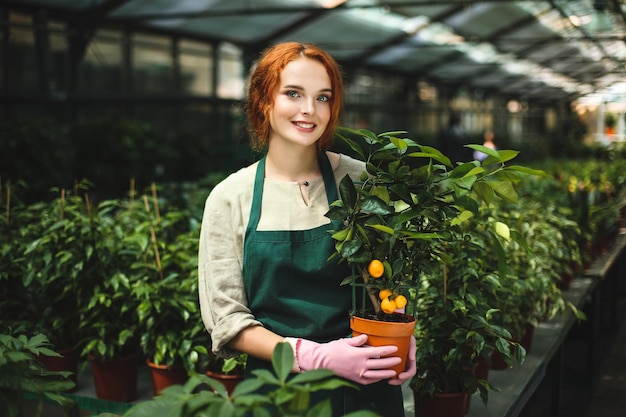 Hermosa florista sonriente en delantal y guantes rosas de pie con un pequeño árbol de mandarina en una olla y mirando alegremente a la cámara en el invernadero