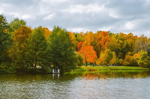 Hermosa foto de árboles amarillentos y un lago tranquilo en un día de otoño