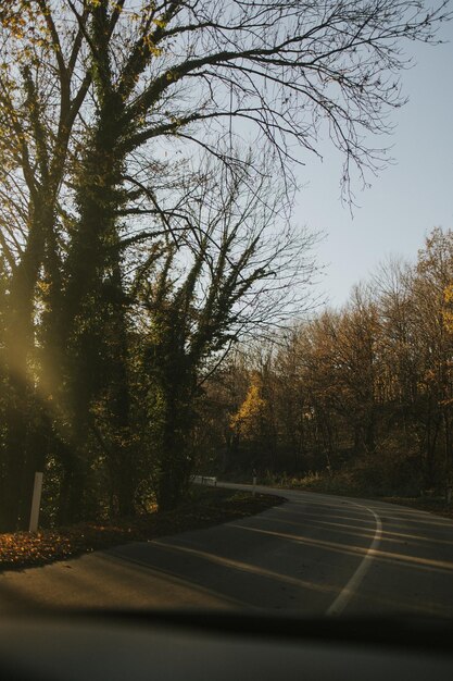 Una hermosa foto de una carretera de montaña rodeada de árboles