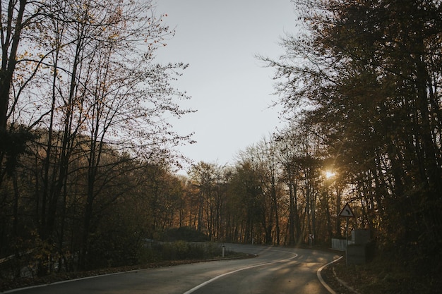 Hermosa foto de una carretera de montaña rodeada de árboles.