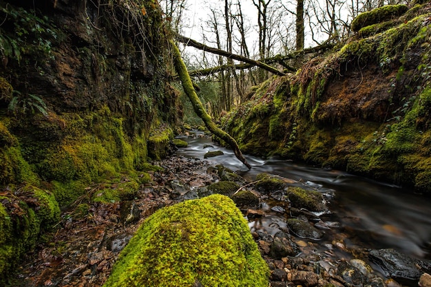 Hermosa foto de una cascada en un bosque durante el día.