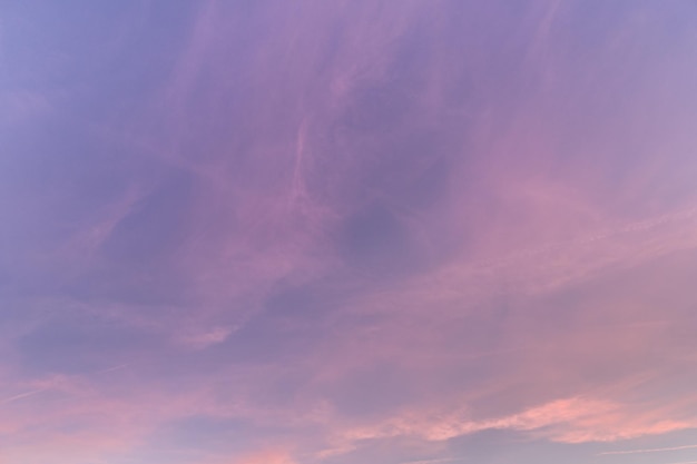 Hermosa foto de un cielo morado