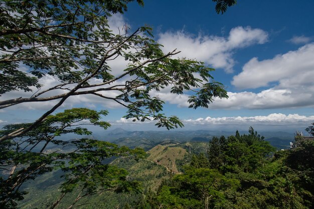 Una hermosa foto de colinas cubiertas de verde y cielo azul con nubes blancas desde arriba