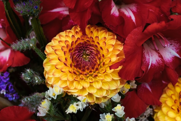 Una hermosa foto de una flor de Dalia amarilla y roja rodeada de plantas y otras flores