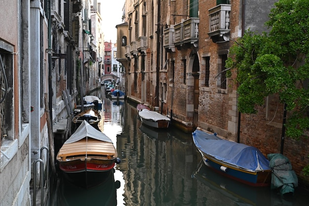 Hermosa foto del Gran Canal en Venezia