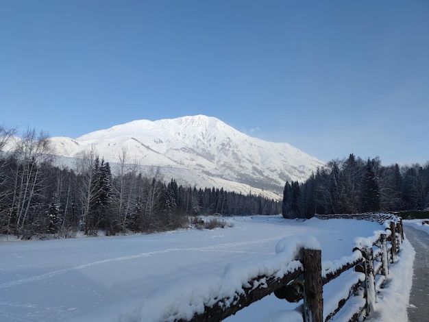 Hermosa foto de nieve en una montaña rodeada por un bosque en Xinjiang Kazajistán en invierno