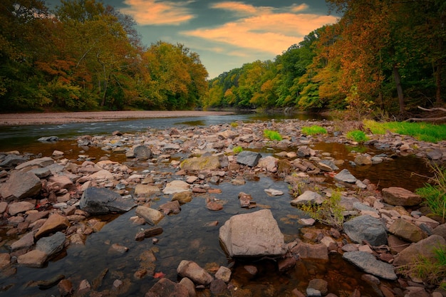 Hermosa foto del río lleno de rocas que fluyen por el bosque en un brillante día de otoño