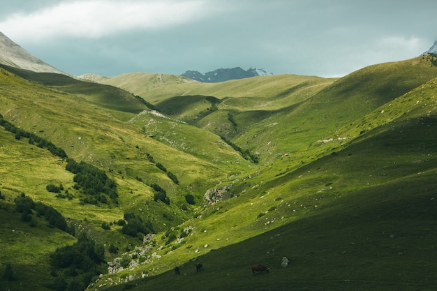 Una hermosa fotografía de paisaje con las montañas del Cáucaso en Georgia