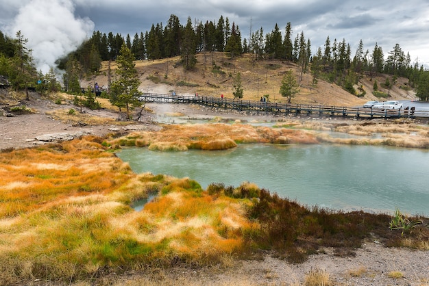 Hermosa fuente termal en el Parque Nacional de Yellowstone