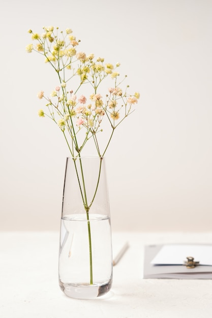 Hermosa gypsophila fresca