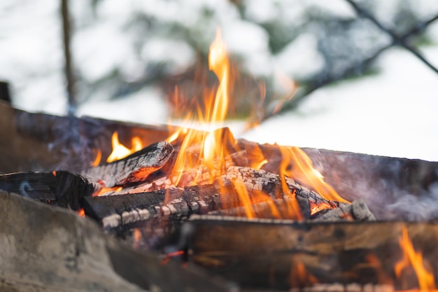 Hermosa hoguera de fuego colorido arde en la parrilla para cocinar alimentos