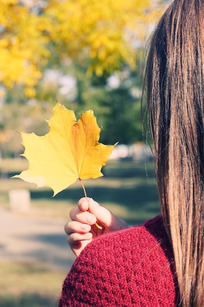 Hermosa hoja de otoño en la mano al aire libre