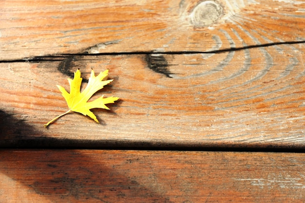 Hermosa hoja de otoño sobre fondo de madera