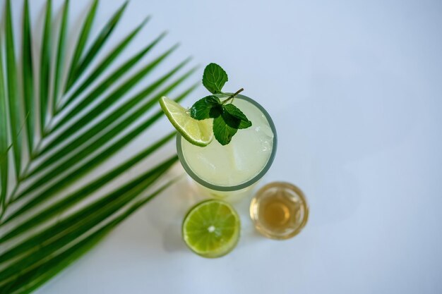 Hermosa hoja de palma verde aislada sobre fondo blanco con elementos de diseño de fondo de hoja tropical