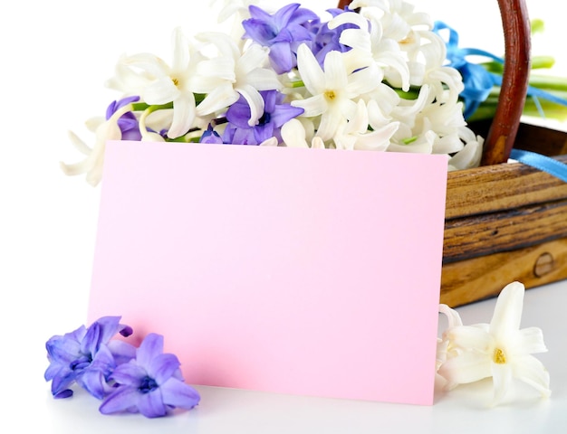 Hermosa hortensia en cesta de madera con tarjeta de cerca