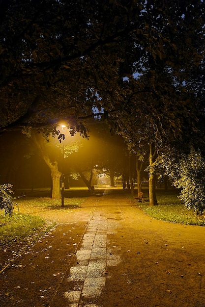 Hermosa iluminación nocturna en el parque por la noche