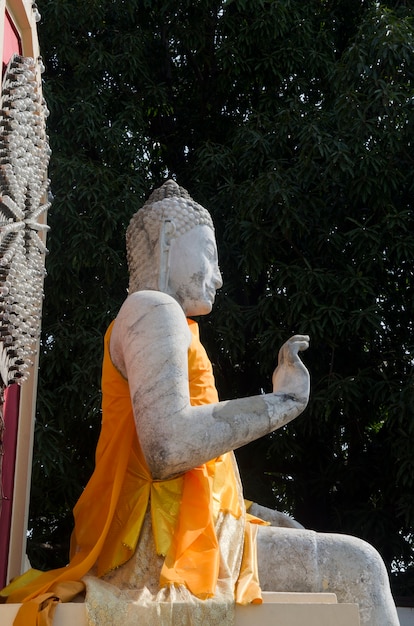 Hermosa imagen de la estatua de Buda en Tailandia