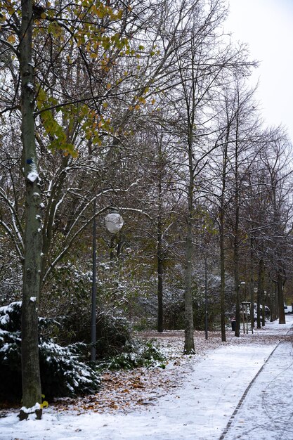 Hermosa imagen nevada del parque Tiergarten en Berlín, Alemania