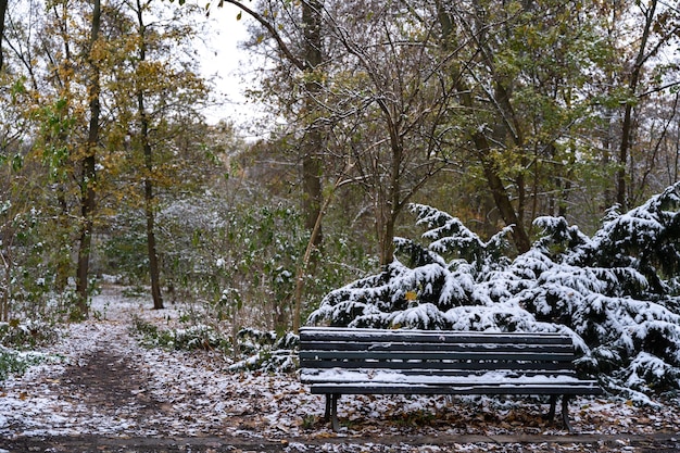 Foto hermosa imagen nevada del parque tiergarten en berlín, alemania