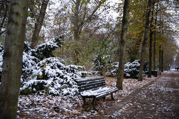 Hermosa imagen nevada del parque Tiergarten en Berlín, Alemania