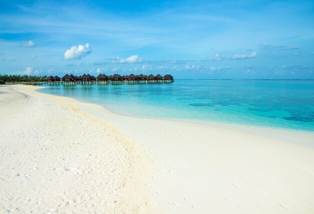 Hermosa isla tropical de Maldivas con playa. Bungalows mar con agua