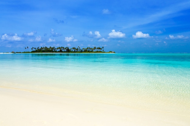 Hermosa isla tropical de Maldivas con playa. Bungalows mar con agua