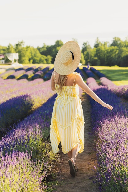 Hermosa joven en un campo lleno de flores de lavanda