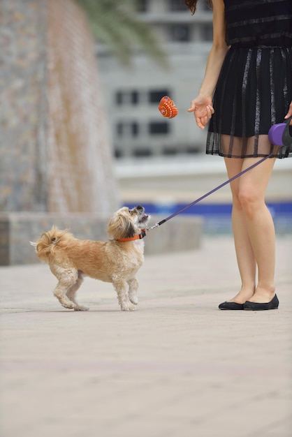 hermosa joven feliz vestida de negro con un lindo cachorro de perro pequeño diviértete en la calle