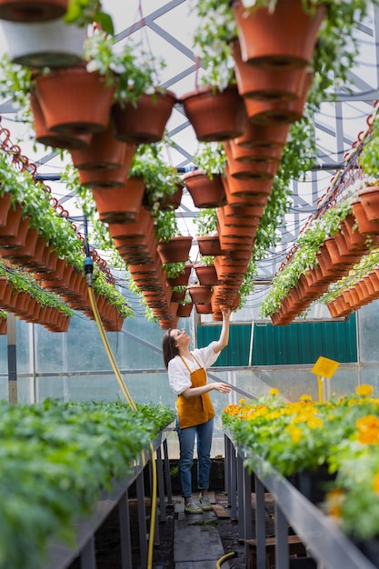 Hermosa y joven mujer caucásica adulta jardinero en un invernadero o vivero de plantas se ocupa de