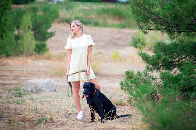 Una hermosa joven con un vestido camina con su perro labrador en un parque de la ciudad o en el bosque.